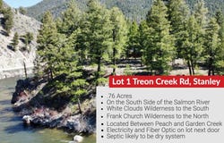 Lot 1 Treon Creek Rd, Stanley, ID 83278