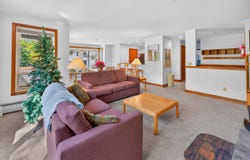 16C Trailside Village Way, Dover, VT 05356