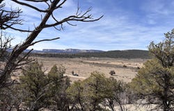 Unit 1 Tract 117 El Vado Lake Subd., Tierra Amarilla, NM 87575