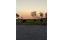 McConnell Road, Gunter, TX 75058