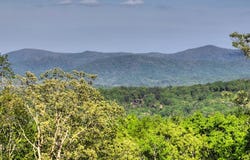 840 Deer Crest Road, Blue Ridge, GA 30513