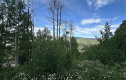 162 Double Diamond Drive, Durango, CO 81301