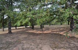 17414 Bridgeview Road, Madill, OK 73446