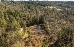 Morgensen Rd, Mosier, OR 97040