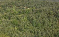 4152 Ponds Tract 3 Road, Maynard, AR 72444