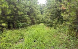 715 FALLVIEW LANE, ODENVILLE, AL 35120