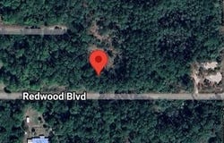 324 REDWOOD BOULEVARD, GEORGETOWN, FL 32139