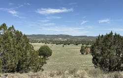 124 Dry Gulch, Seligman, AZ 86337