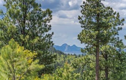 336  Middle Fork Rd, Devils Tower, WY 82714