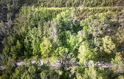 NE Rue Drive, Pinetta, FL 32350
