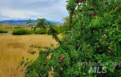 Tbd Mesa Rd, Mesa, ID 83612