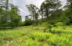 69 EDGE ROCK DRIVE, DRUMS, PA 18222