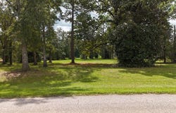 0 Ed Tolar Road, Pansey, AL 36370