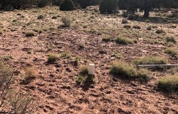 Tbd WICKED SISTERS, Concho, AZ 85924
