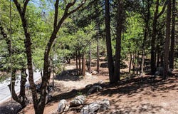 0 Meadowbrook Road, Lake Arrowhead, CA 92352
