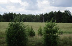 000 County Road A, Ladysmith, WI 54848