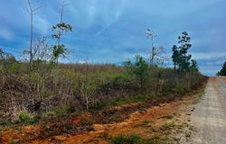 Tract B Co Rd 123, Wedowee, AL 36278