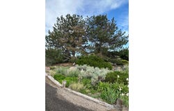 13748 Downing St, Brighton, CO 80602