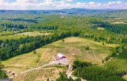 119 Inland Drive, Talking Rock, GA 30175