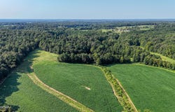 Finch Road, Gleason, TN 38229