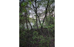 4622 Parker Loop Road, Birchwood, TN 37308