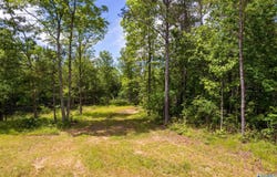 343 County Road 814, Flat Rock, AL 35966