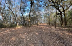 4400 Garcon Point Road, Milton, FL 32583