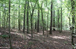 NE Greenhill Trail, Brookhaven, MS 39601