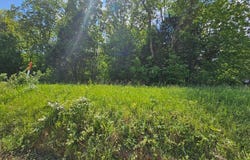 0 Carter 239, Ellsinore, MO 63937