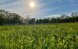 WP0 Rolling Meadows Rd., Livingston Manor NY, NY 12758