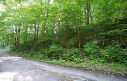 Holiday Haven Rd, Smithville, TN 37166