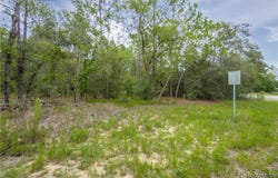 1287 W Evergreen Drive, Citrus Springs, FL 34434
