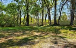 31035 Highway 72, Hollywood, AL 35752