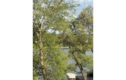 6703 Panorama Drive, Panora, IA 50216