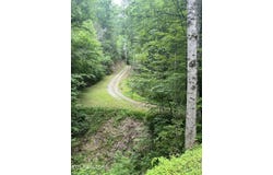 Shady Grove Court, Sevierville, TN 37876