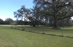 Taylor Road, Monticello, FL 32344
