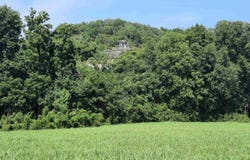 002 Jellon, Mountain View, AR 72560