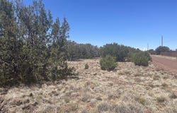 148 Alaska Avenue, Concho, AZ 85924