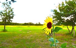 1500 County Road 2850, Kopperl, TX 76652