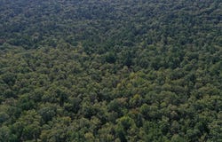 FS RD 795, Bluffton, AR 72827