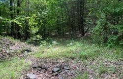 Lake Mills Road, Cairo, NY 12413