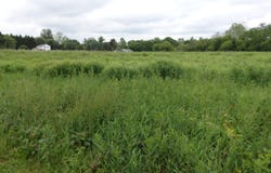 Lot 135-003 TROLLEY BRIDGE ROAD, QUAKERTOWN, PA 18951