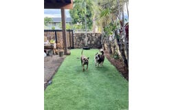 66-924 Kamakahala Street, Waialua, HI 96791