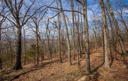 Dinsmore  TR, Fayetteville, AR 72701