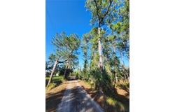 2332 MITCHELL ISLAND ROAD, DELTONA, FL 32738
