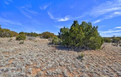 38 WEATHERSBY Drive, Edgewood, NM 87015