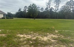 30684 BLUE WING CRESENT lot: 45, Springfield, LA 70462