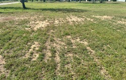 602 S Ave B, Olney, TX 76374