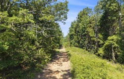 650 Little Fox Rd, Shirley, AR 72153