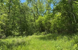 Tract 1 NC 7540, Ozone, AR 72854